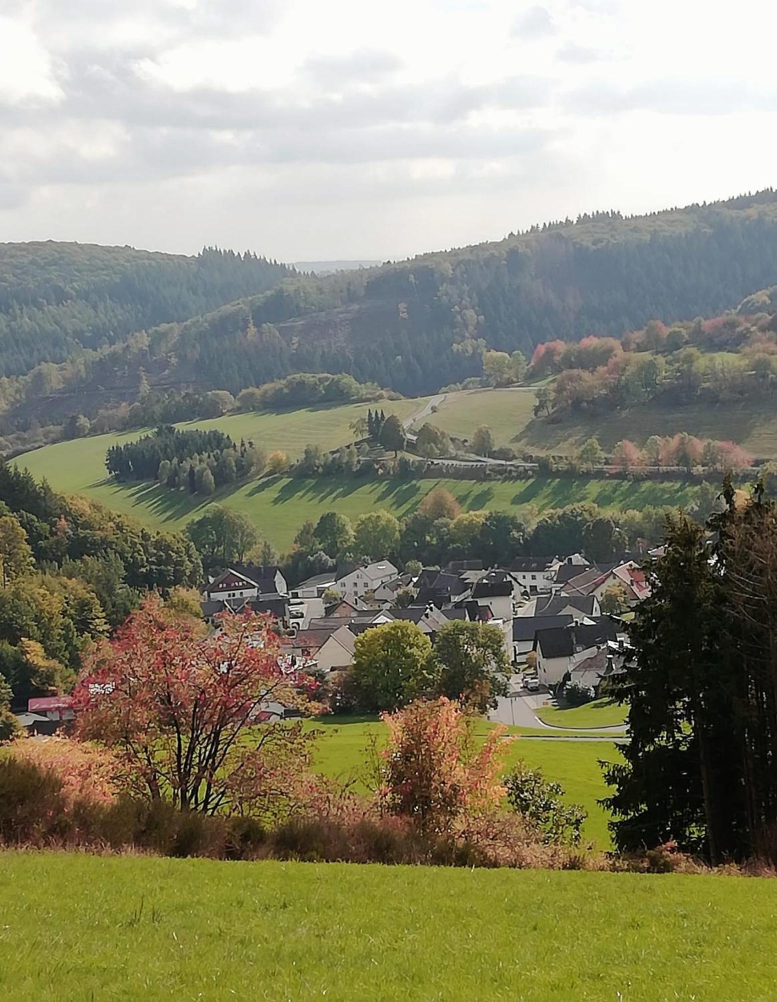 Apartment Am Lindenbaum, In Am Nuerburgring Siebenbach